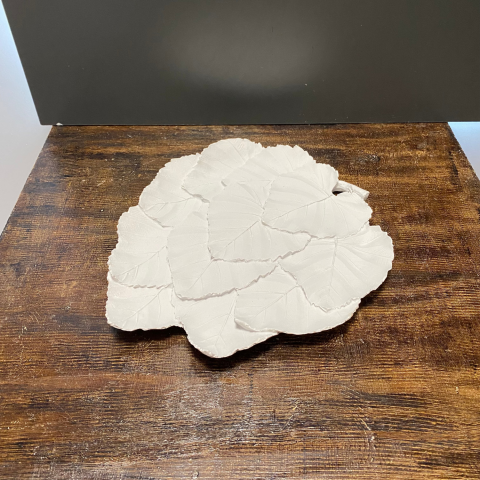 Çok Yapraklı Tabak