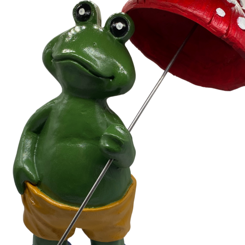 Şemsiyeli Büyük Kurbağa