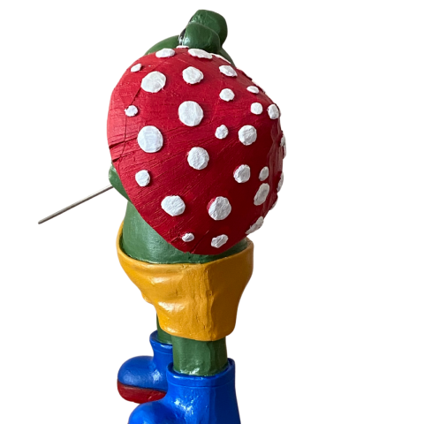 Şemsiyeli Büyük Kurbağa