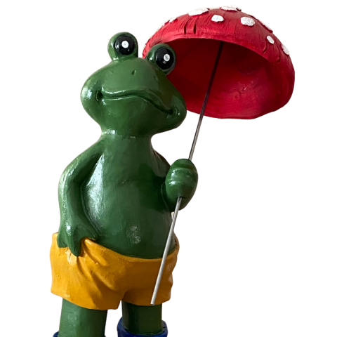 Şemsiyeli Büyük Kurbağa
