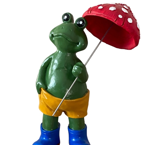 Şemsiyeli Büyük Kurbağa