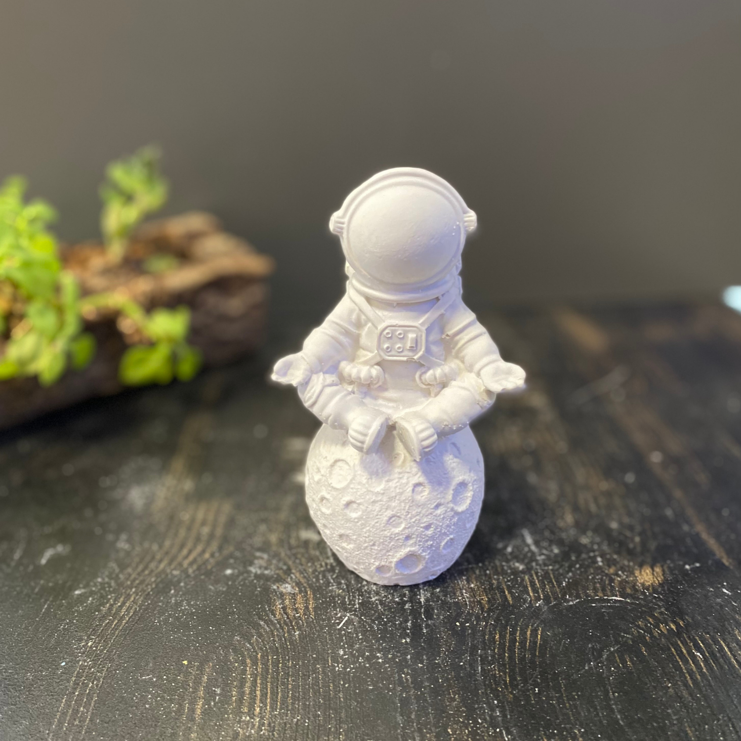 Astronot Yoga Yapan