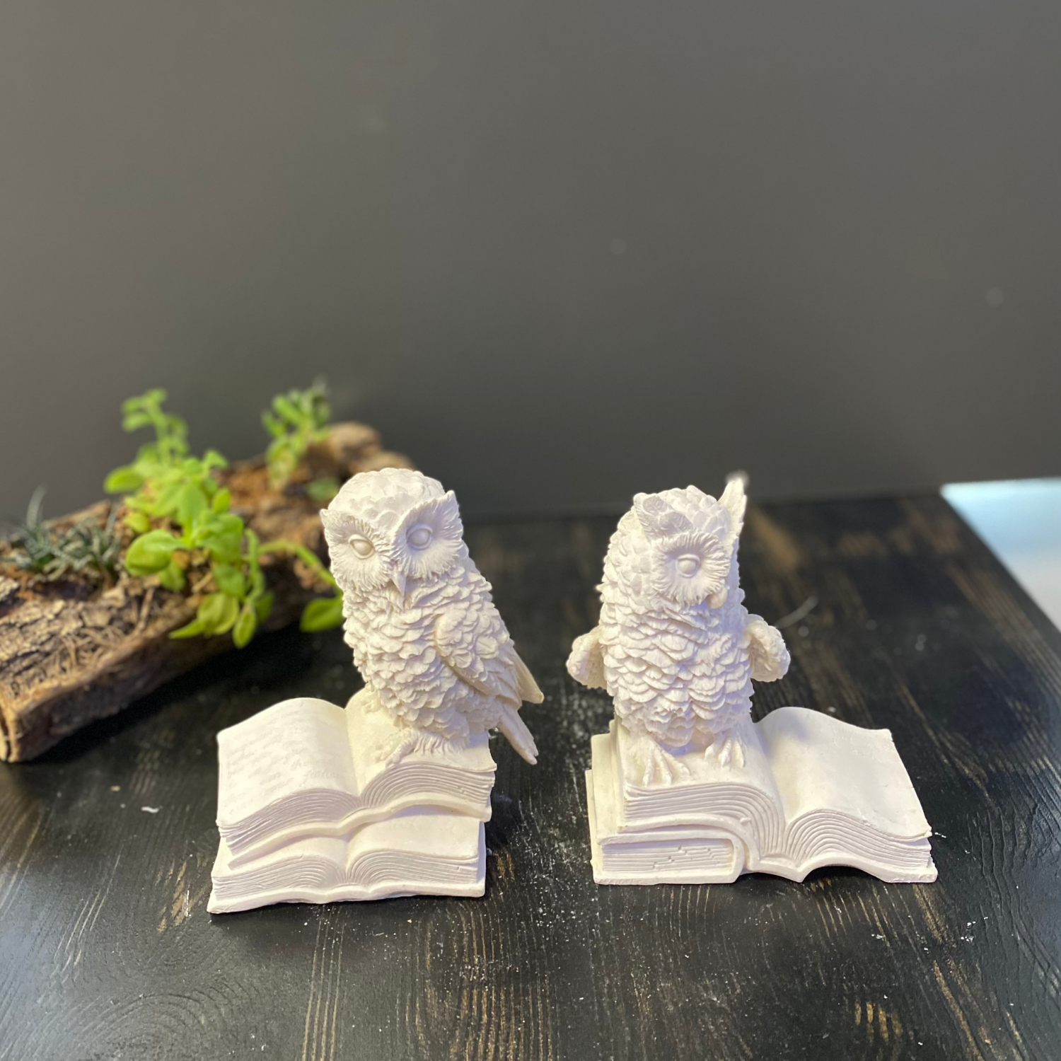 Baykuş Kitap Tutucu