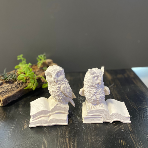 Baykuş Kitap Tutucu