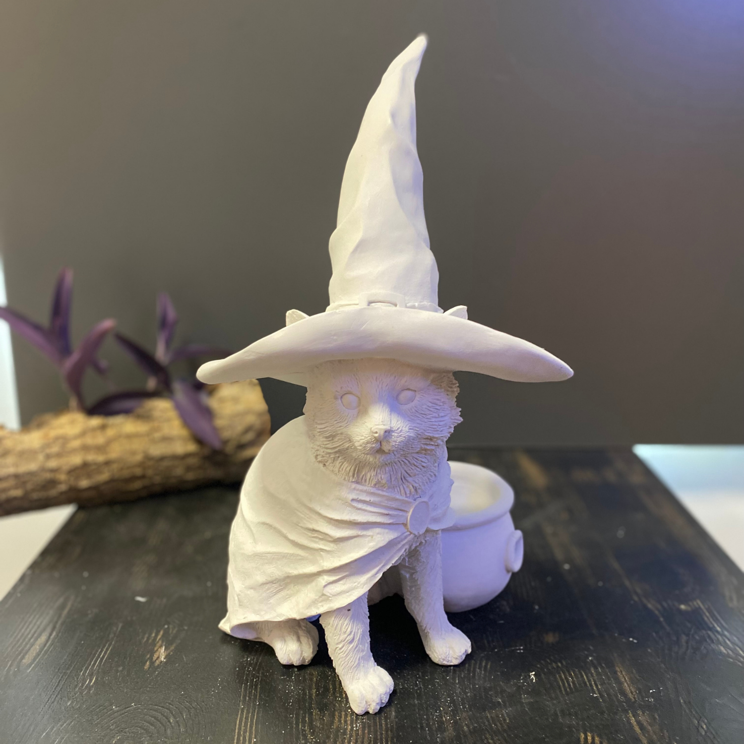 Cadı Şapkalı Kedi