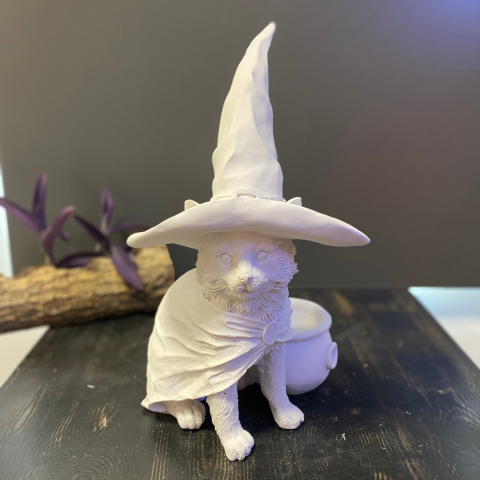 Cadı Şapkalı Kedi