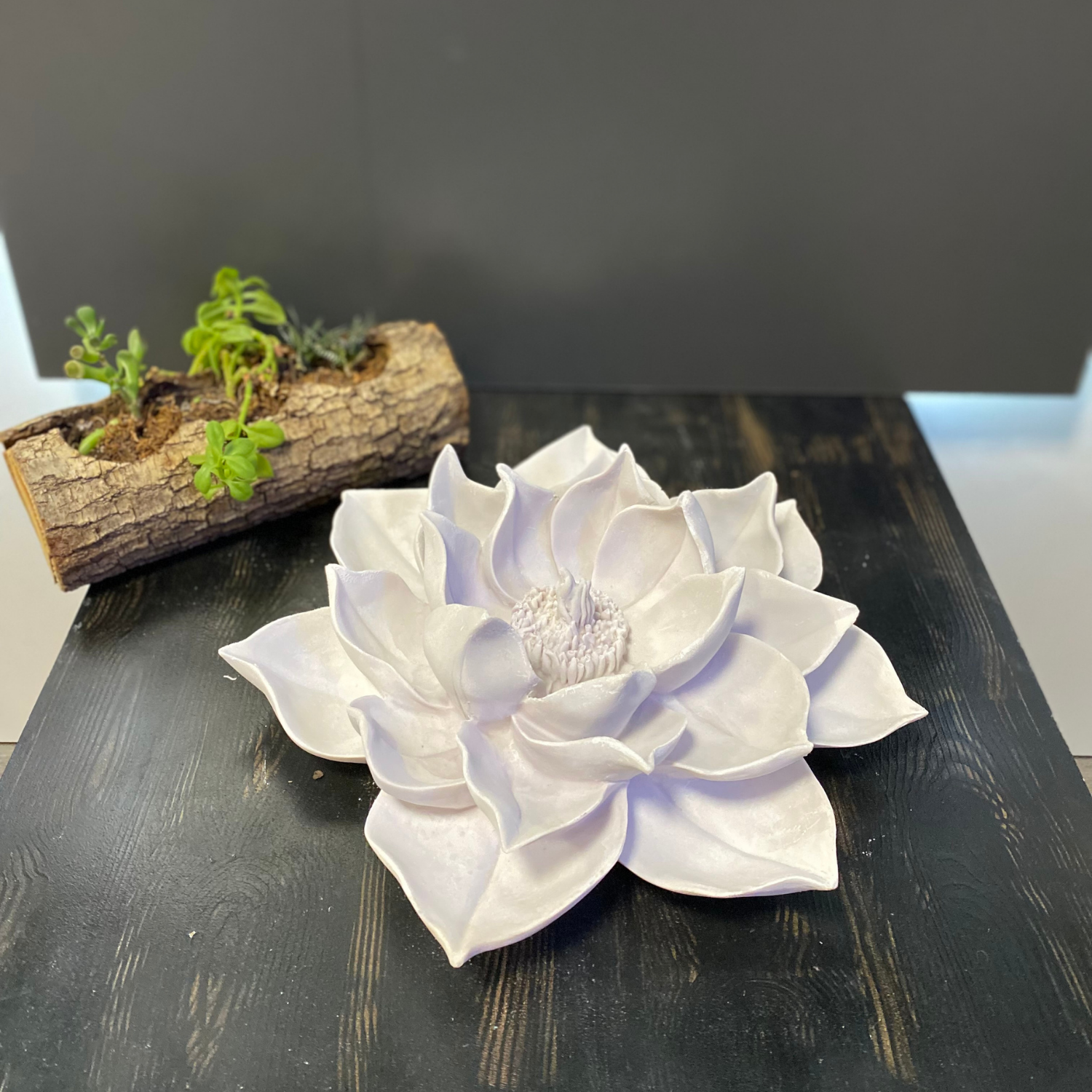 Büyük Lotus Çiçeği