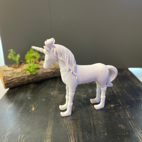 Pony Unicorn Orta