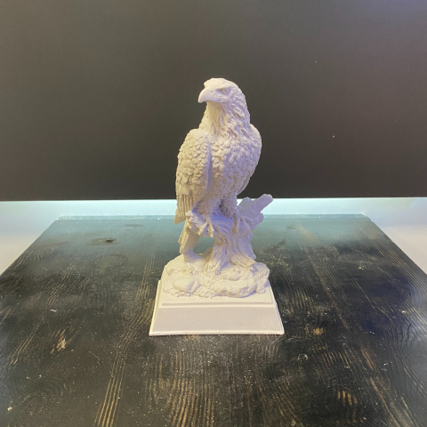 Kaideli Küçük Kartal