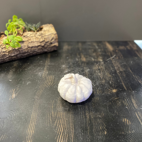 B 026 Dekoratif Kabak