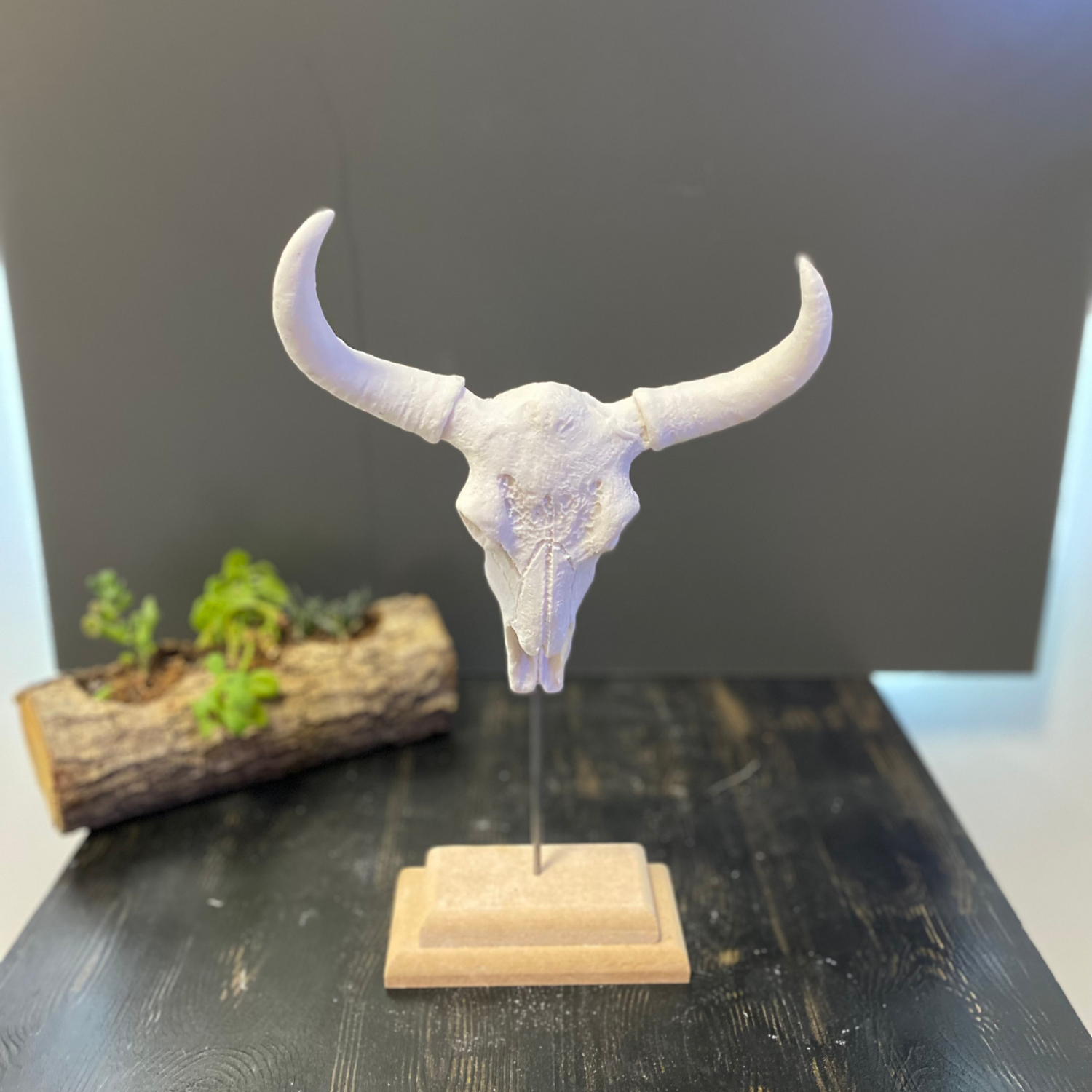 Tablalı Boynuzlu İskelet