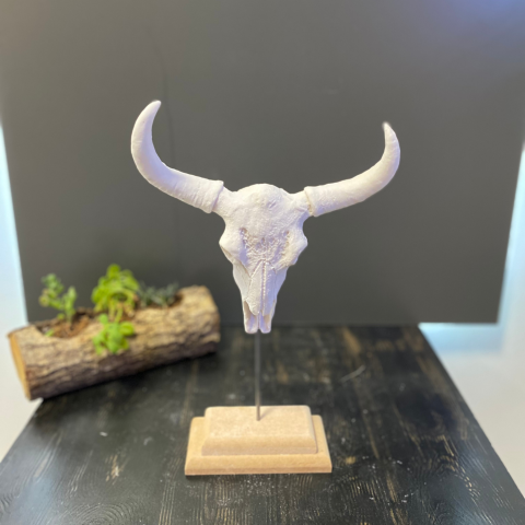 Tablalı Boynuzlu İskelet