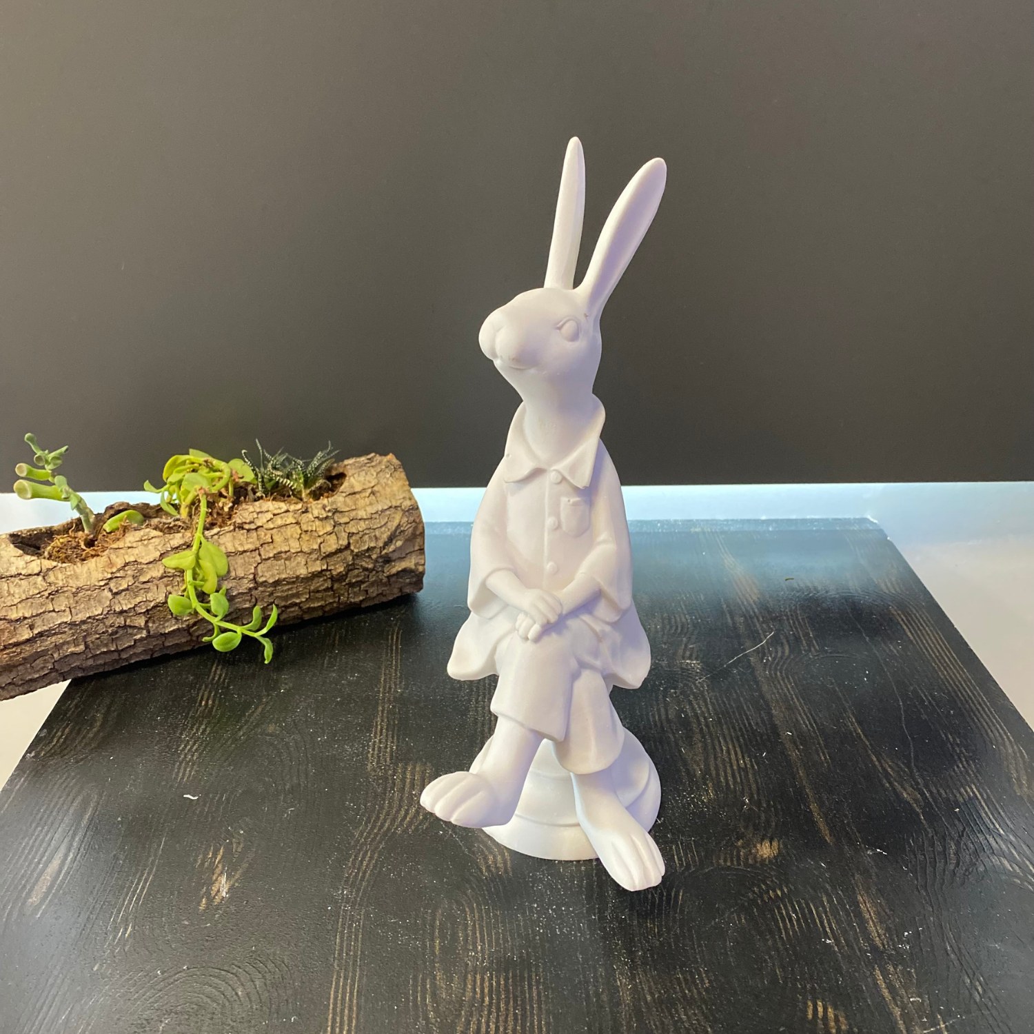 Oturan Erkek Tavşan