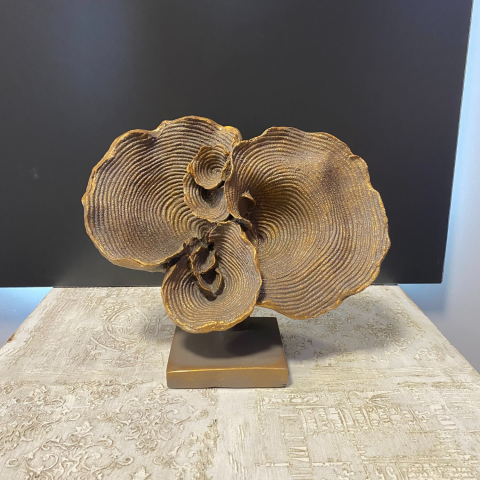 Büyük Kaideli Deniz Mercan