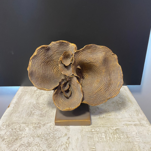 Büyük Kaideli Deniz Mercan