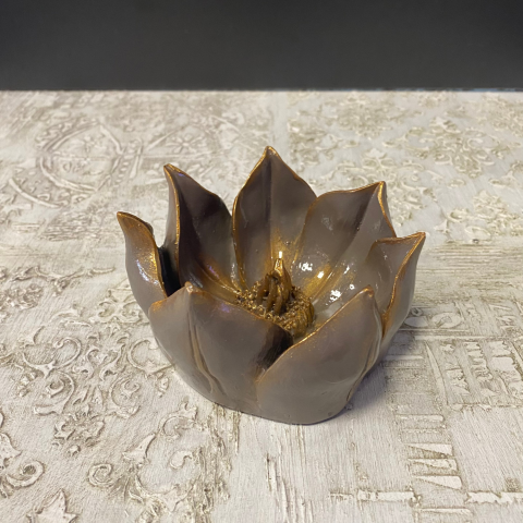 Küçük Lotus Nilüfer Çiçeği