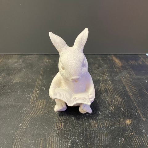 Kitap Okuyan Tavşan