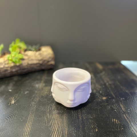 Çok Yüzlü Küçük Saksı