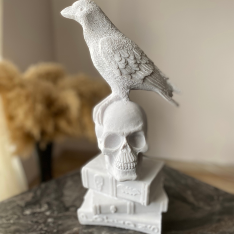 İskelet Karga Kitap