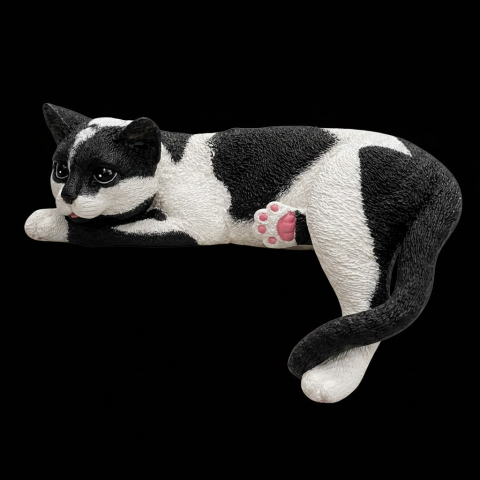 Uzanan Yatan Kedi Siyah
