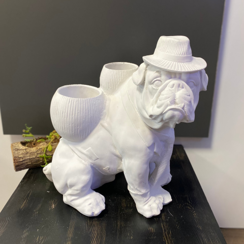 Sırtı Saksılı Köpek Buldog