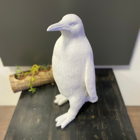 Büyük Penguen