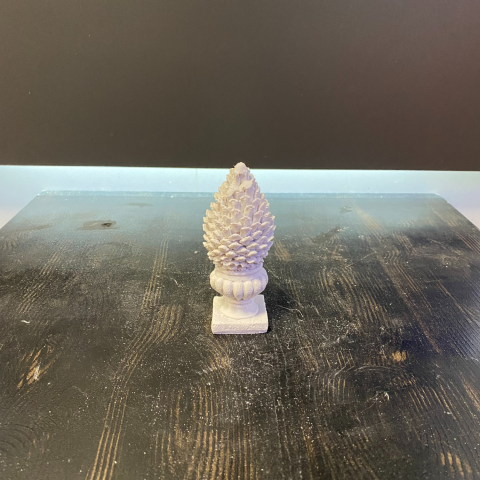 Kaideli Çam Ağacı Küçük Kozalak