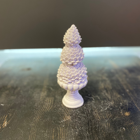 Kaideli Çam Ağacı Büyük Kozalak