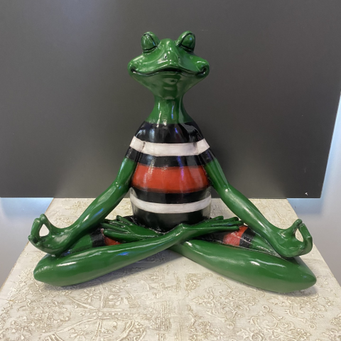 Elleri Yanda Açık Yoga Yapan Kurbağa