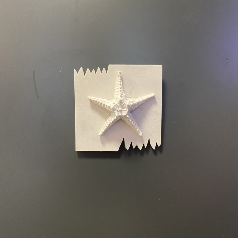 Deniz Yıldızı Pano