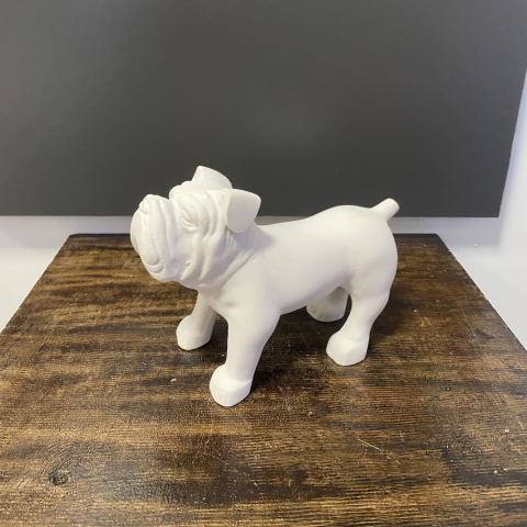 Buldog Köpek Küçük