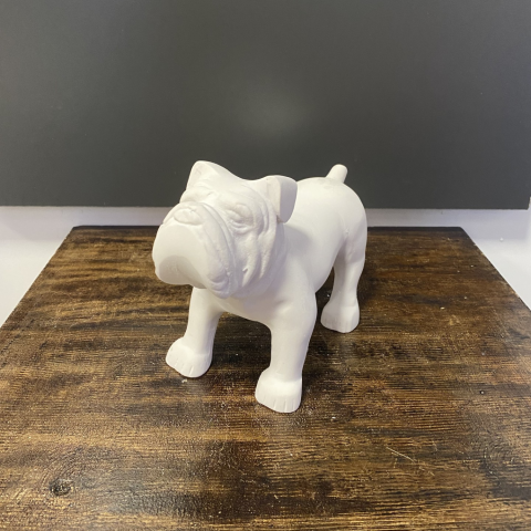 Buldog Köpek Küçük