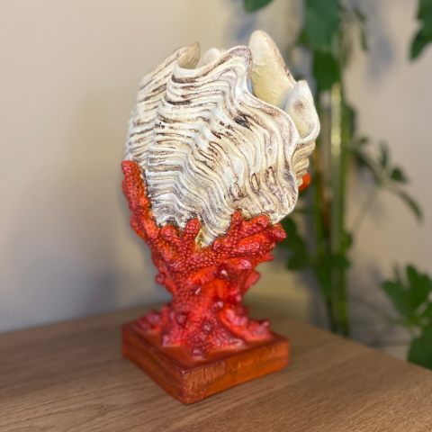 Mercan Üzeri İstiridye Midye Biblo Heykel