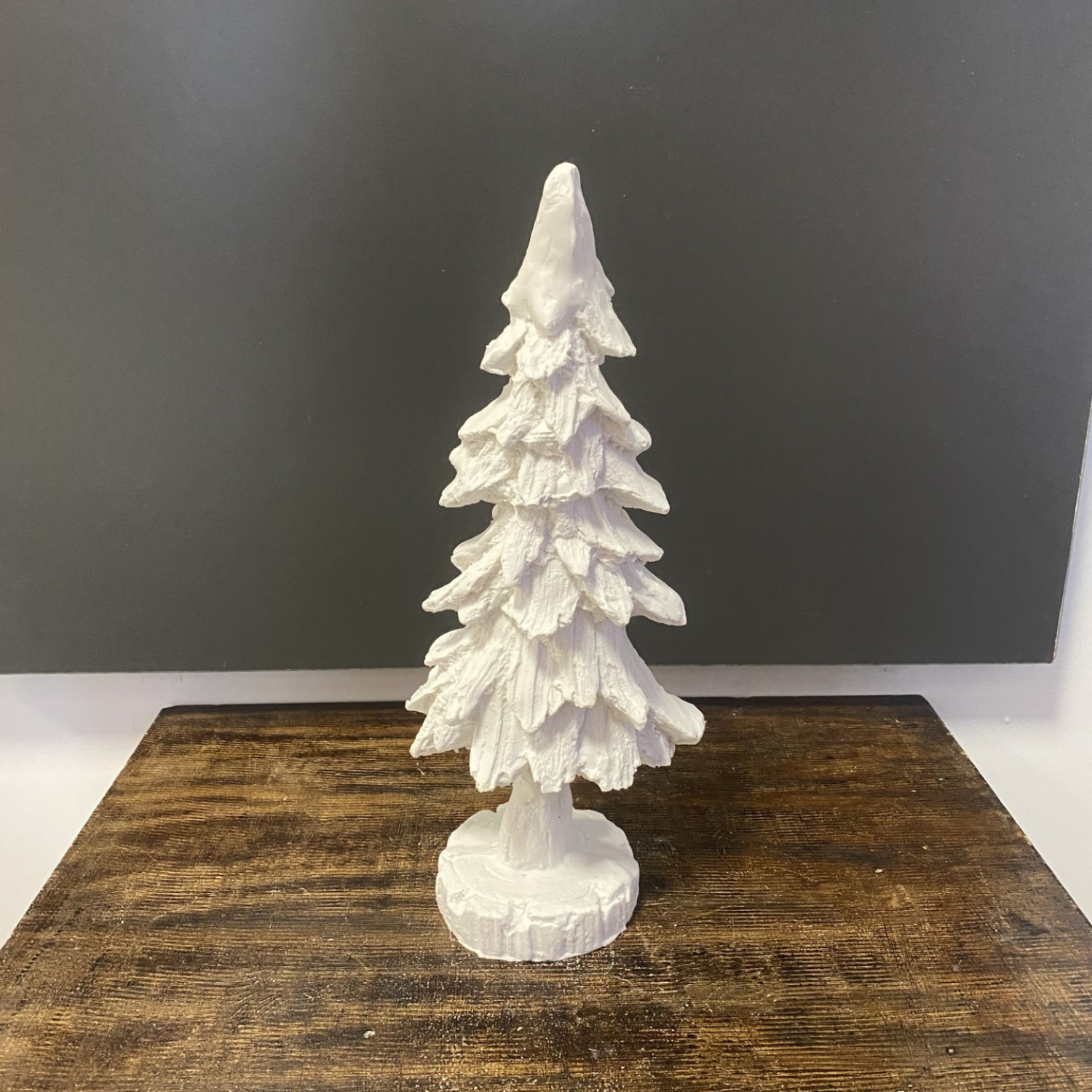 Kaideli Küçük Çam Ağacı