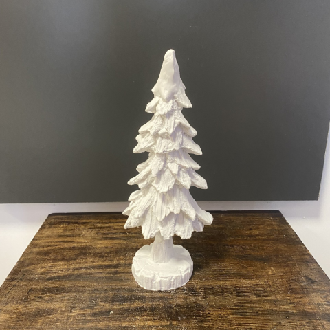 Kaideli Küçük Çam Ağacı