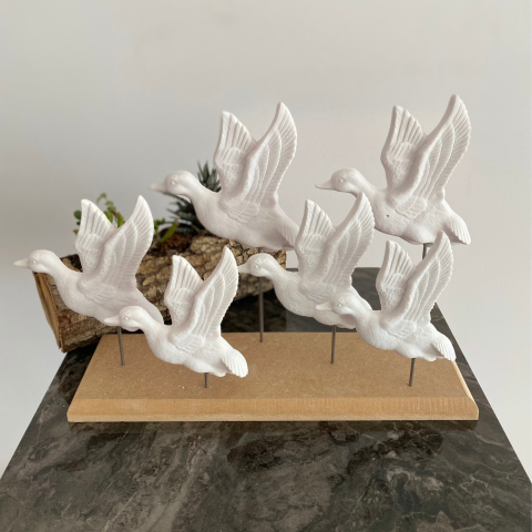 Kaideli Kaz Sürüsü