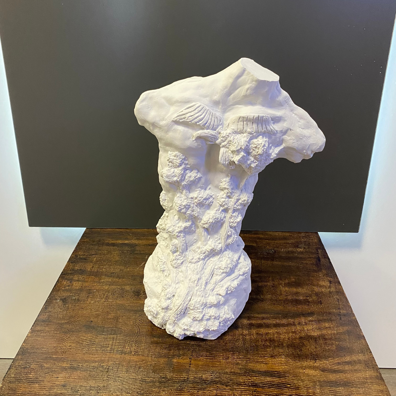 Göğsü Kartallı Tors