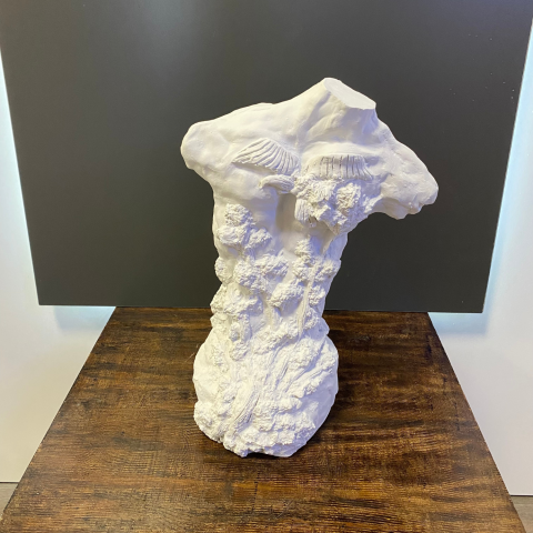 Göğsü Kartallı Tors