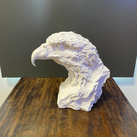 Büyük Kartal Büst