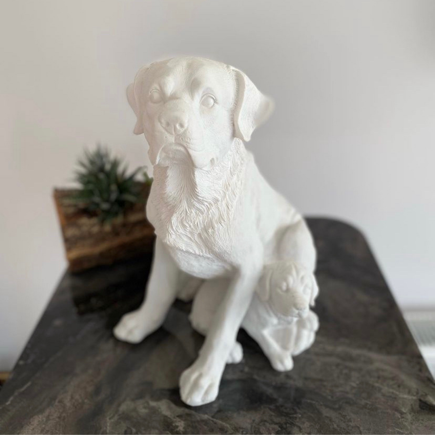 Tek Yavrulu Golden Köpek