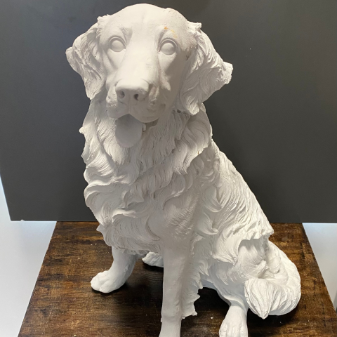 Golden Retriever Büyük Köpek