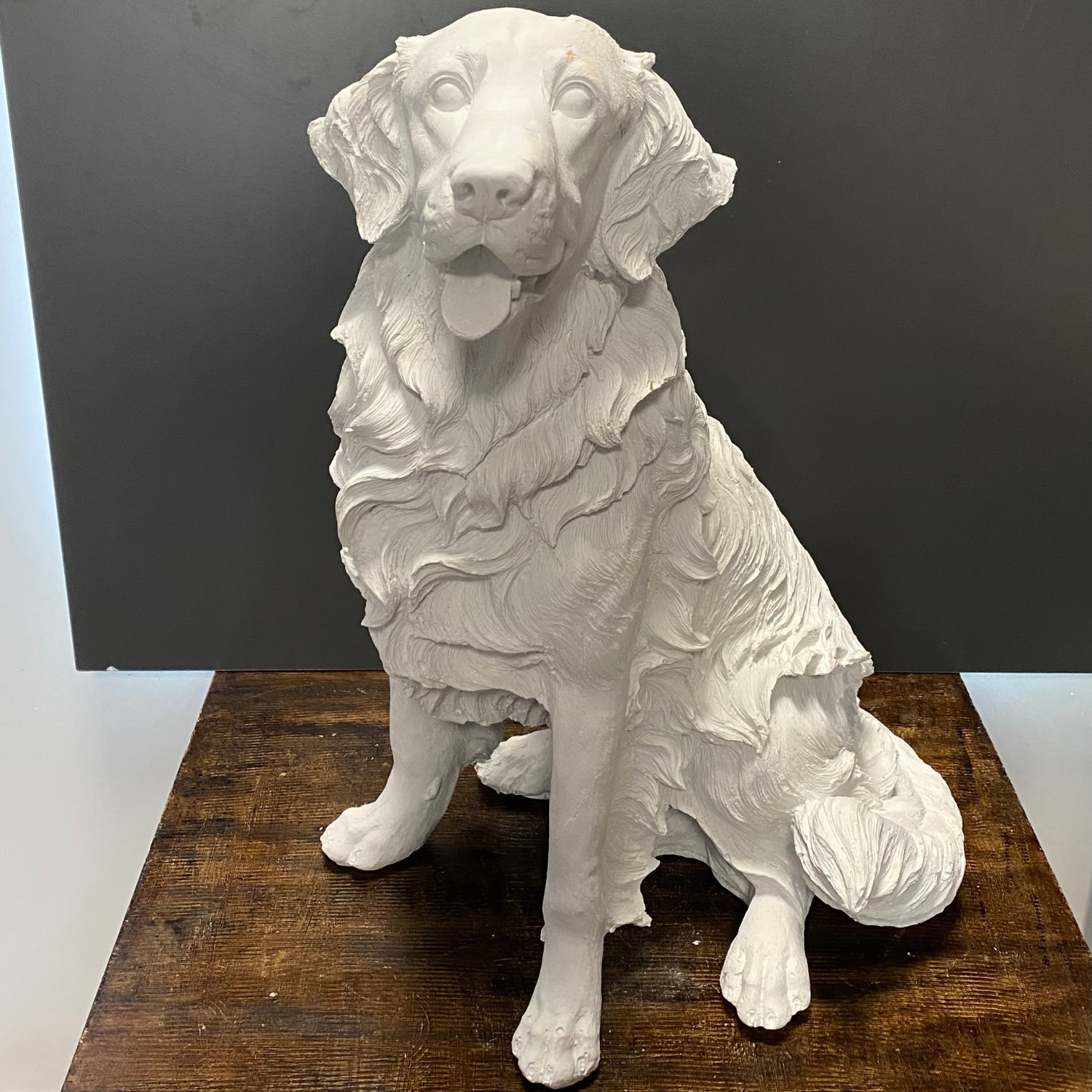 Golden Retriever Büyük Köpek