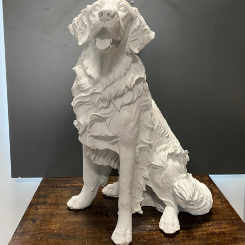 Golden Retriever Büyük Köpek