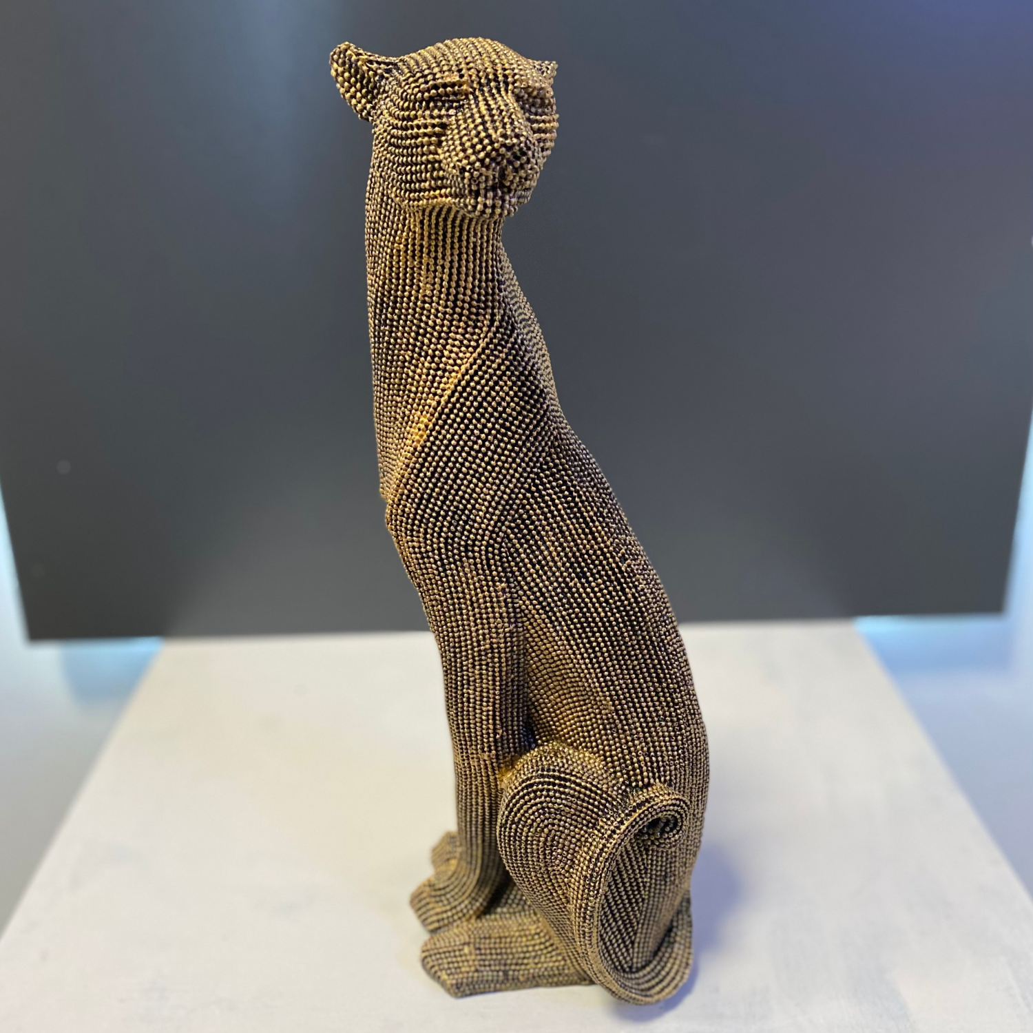 Dokulu Panter