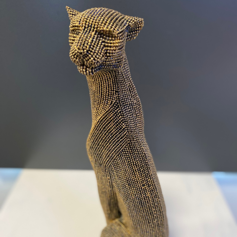 Dokulu Panter