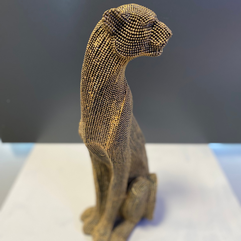 Dokulu Panter