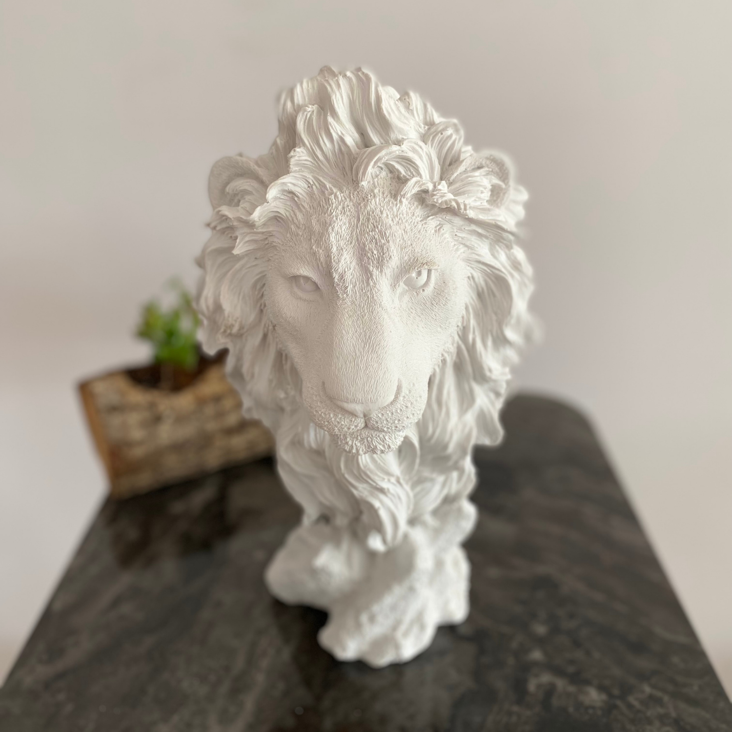 Aslan Kafası Büst