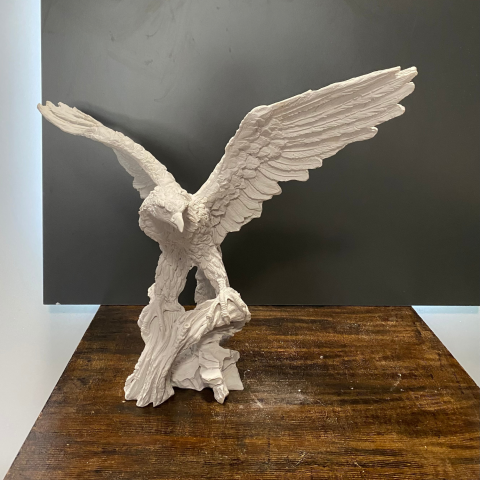 Kanatları Açık Büyük Kartal