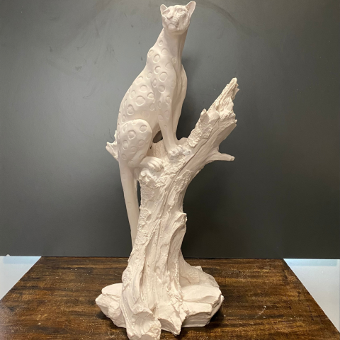 Ağaç Üzerinde Çita