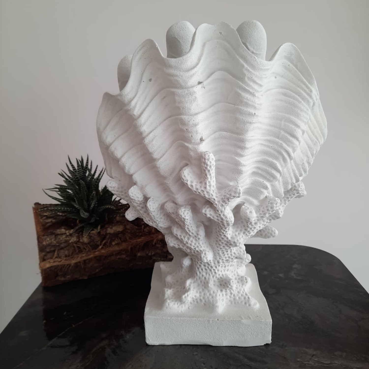 Mercan Üzeri İstiridye Vazo